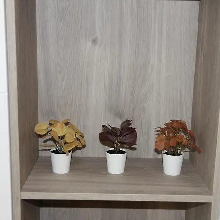 Ruzafa Tropical Valencia